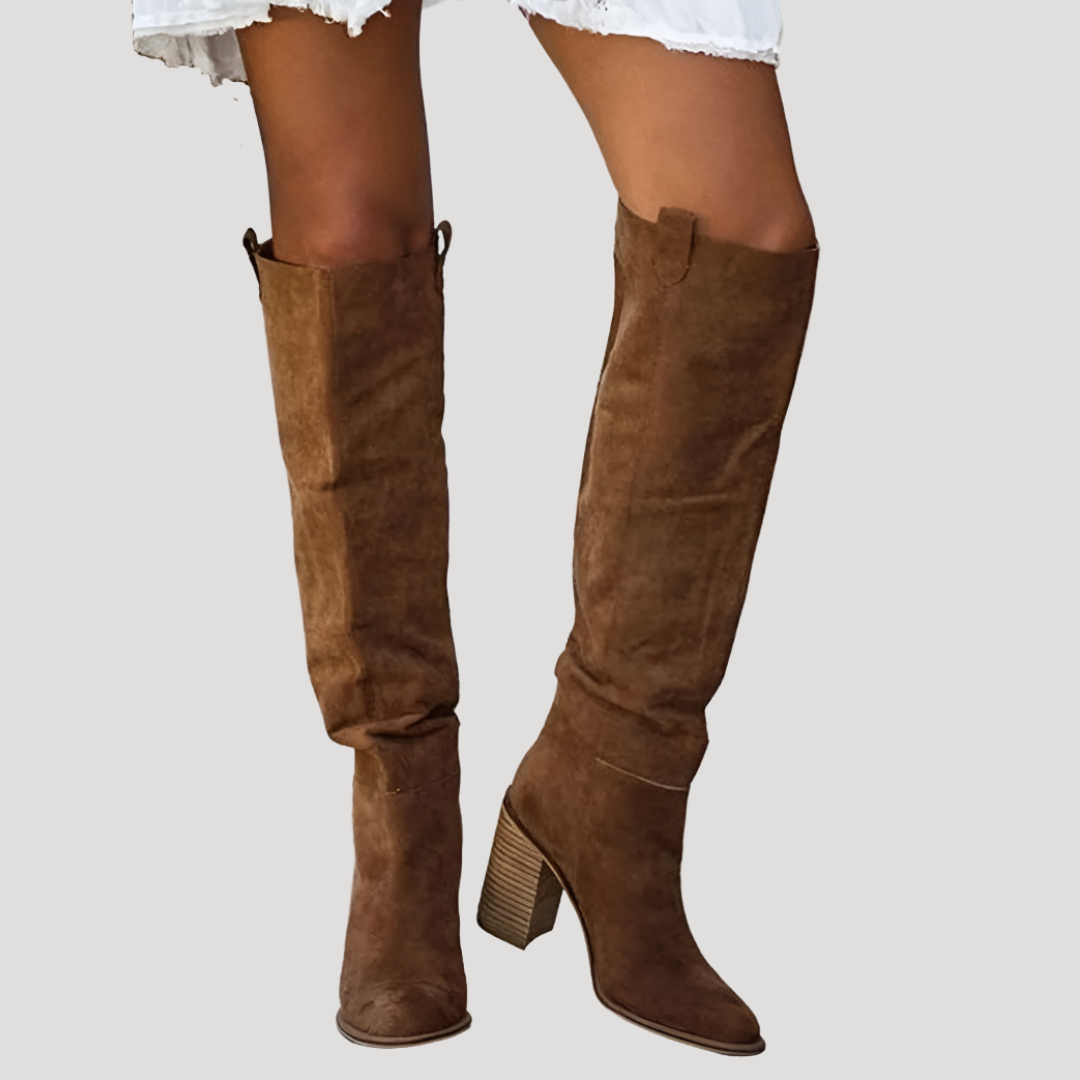 Bottes Femme à Talon, Bout Pointu et Hauteur Genou