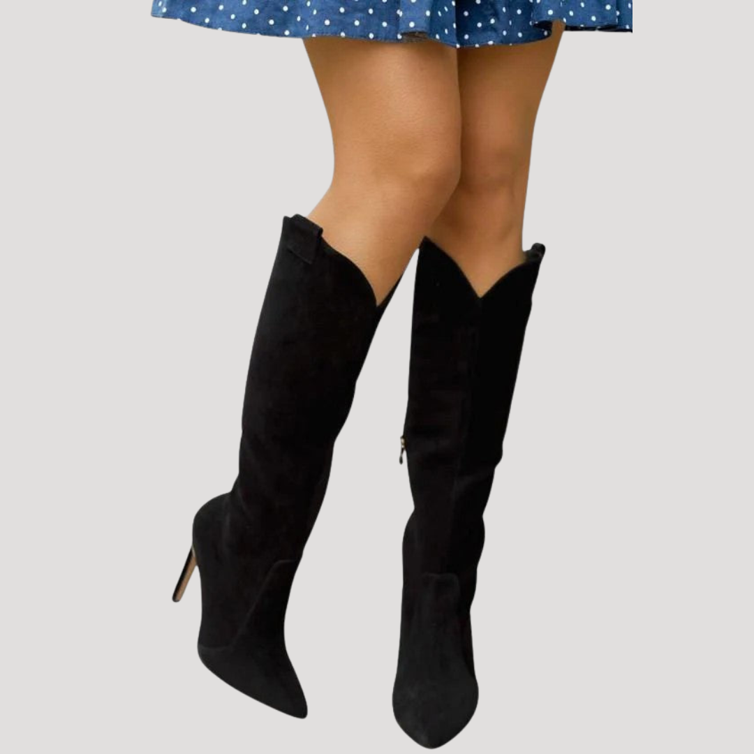 Bottes Hautes Femme Bout Pointu à Talon Aiguille
