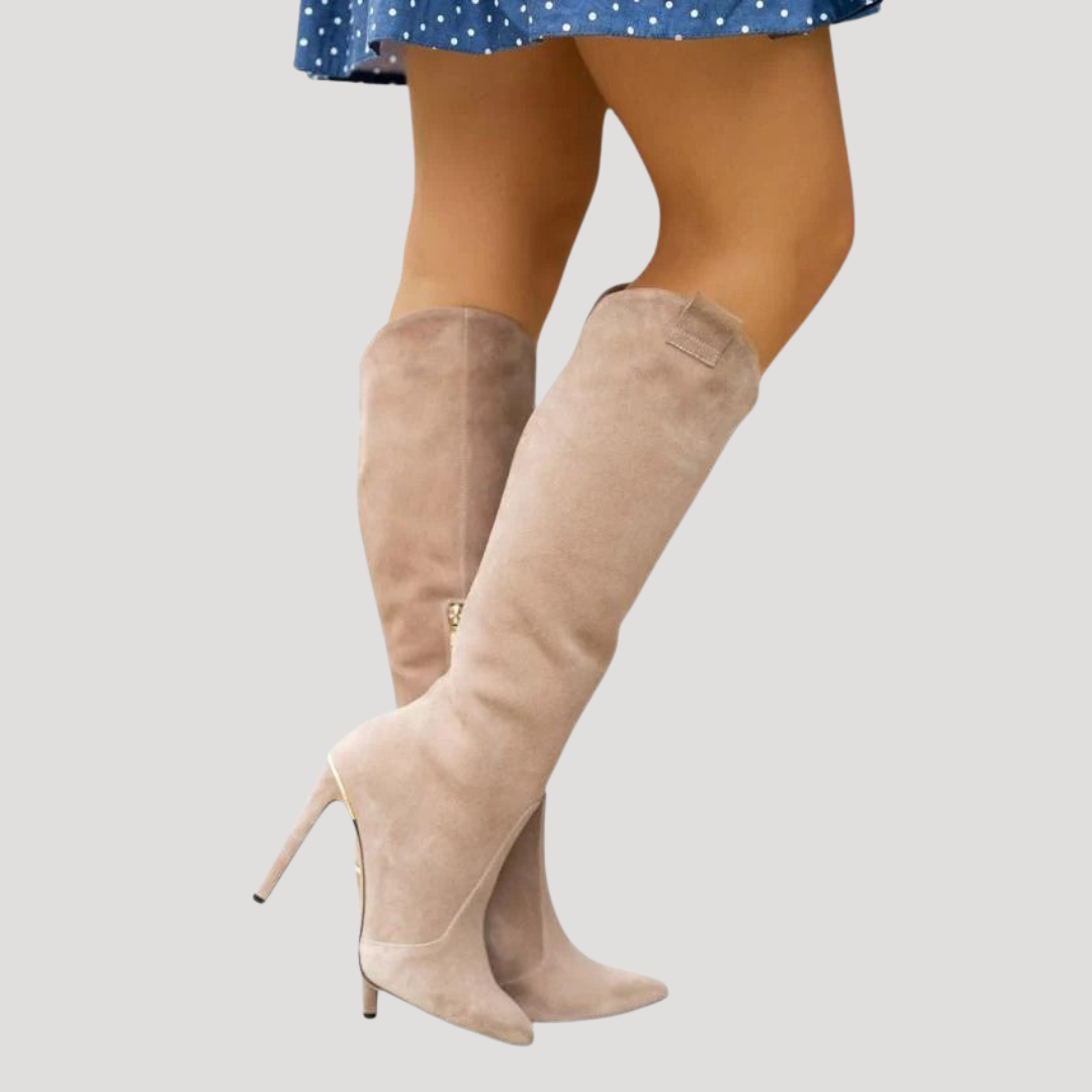 Bottes Hautes Femme Bout Pointu à Talon Aiguille